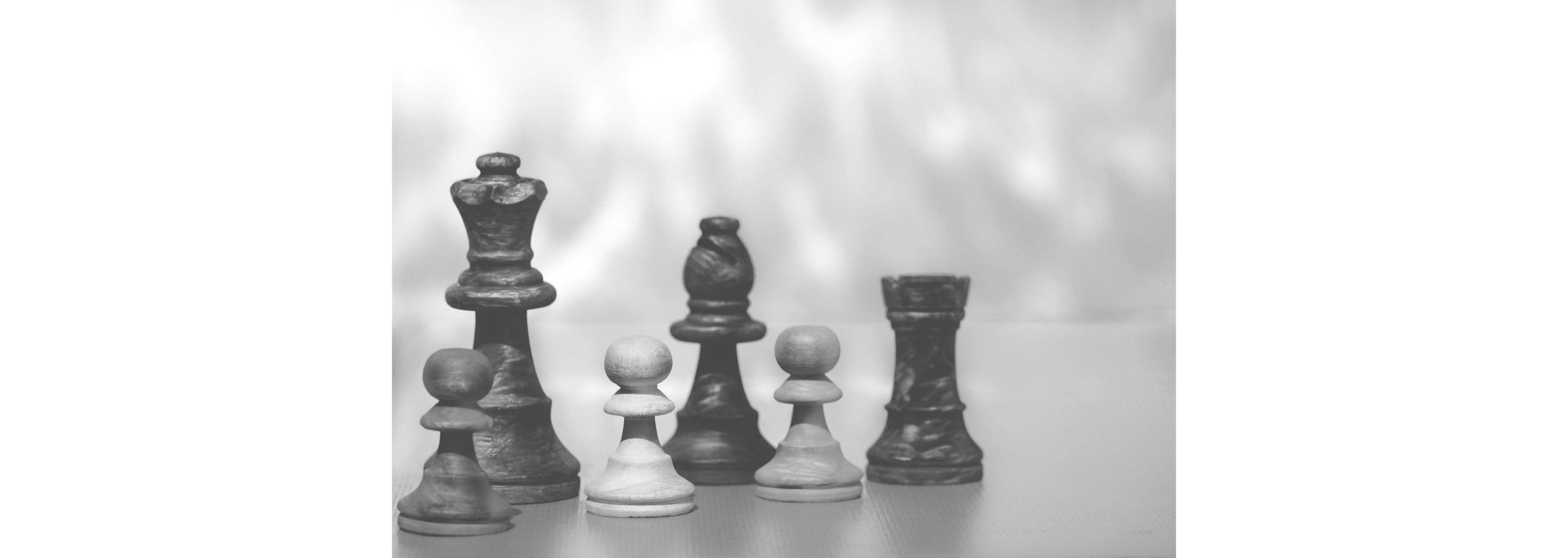 Unternehmensentwicklung Schwarz